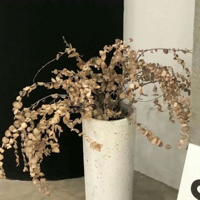 颍州FurryQQ群介绍